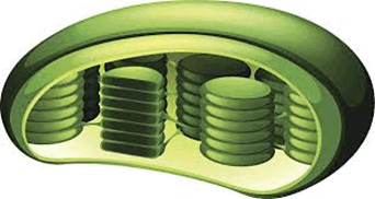 0900fc0x-d14f-342x182.png