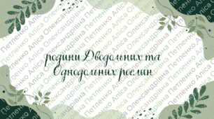 Презенація на тему "Родини Дводольних та Однодольних рослин"