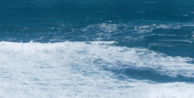 0900fd9e-3bc1-194x98.png