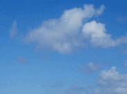 0900fd9w-df3d-177x132.png