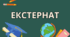 Українська мова 8 клас. Річне оцінювання (екстернат) за групами результатів