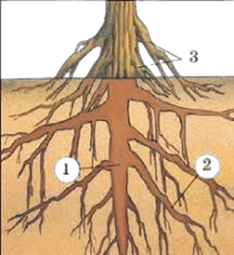0900fgqw-989d-336x366.png