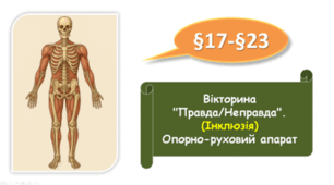 8 клас НУШ. Вікторина "Правда/Неправда". (Інклюзія)Опорно-руховий апарат