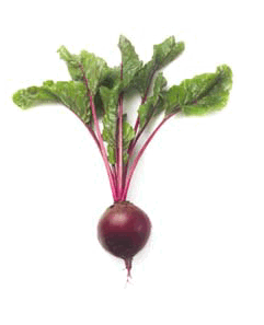 0900fjg7-226a-241x297.png