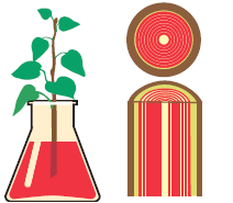 0900fk13-1956-212x185.png