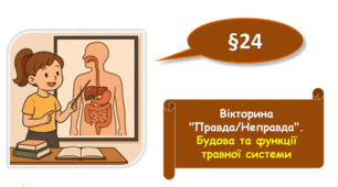 Вікторина "Правда/Неправда". Будова та функції травної системи 