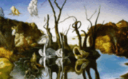 0900flsr-2324-180x111.png