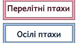 Стіна слів «Птахи»