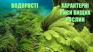 7 клас. Комплексна діагностувальна робота № 2 з тем "Водорості. Характерні риси та будова вищих рослин"_1 варіант