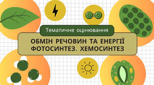 Тематичне оцінювання "Обмін речовин та енергії"