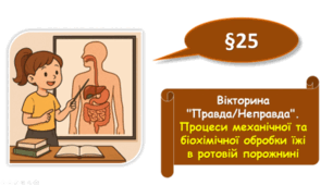 Вікторина "Правда/Неправда". Процеси механічної та біохімічної обробки їжі в ротовій порожнині
