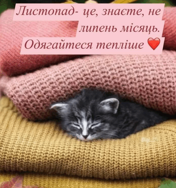 0900fnhn-0391-579x617.png
