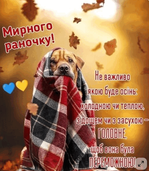 0900fnzr-f54a-592x681.png