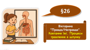 Вікторина "Правда/Неправда". Ковтання їжі. Процеси травлення в шлунк