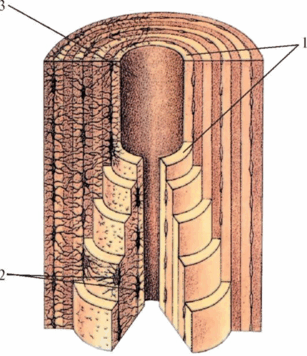 0900fol5-e492-307x356.png
