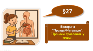 Вікторина "Правда/Неправда". Процеси травлення у кишці.Виведення з організму неперетравлених решток їжі 