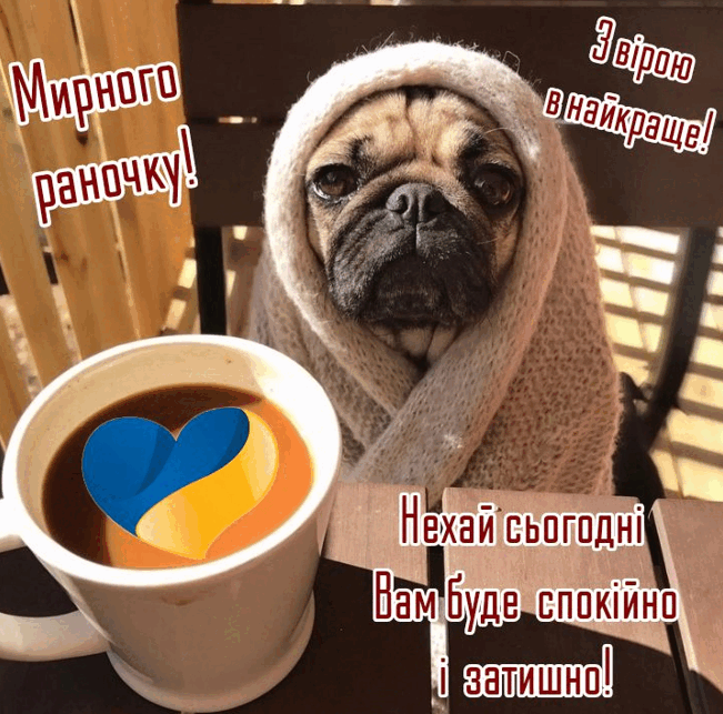 0900foqu-7d01-651x643.png