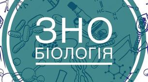 ЗНО 2023 І сесія
