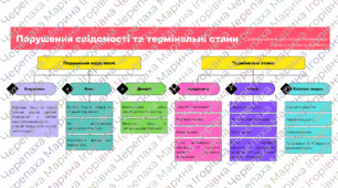 Схема: Порушення свідомості та термінальні стани (диференціальна діагностика)