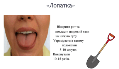 0900fupu-dd6a-406x235.png