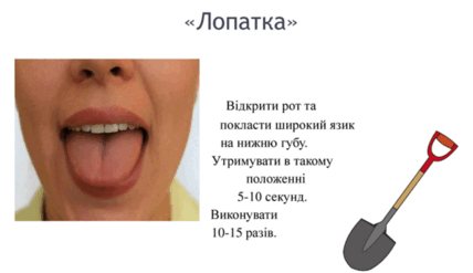 0900fupu-dd6a-428x247.png
