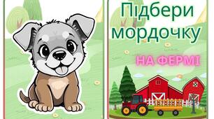 Альбом ан липучках для найменших діток "Підбери мордочку" . Тварини на фермі