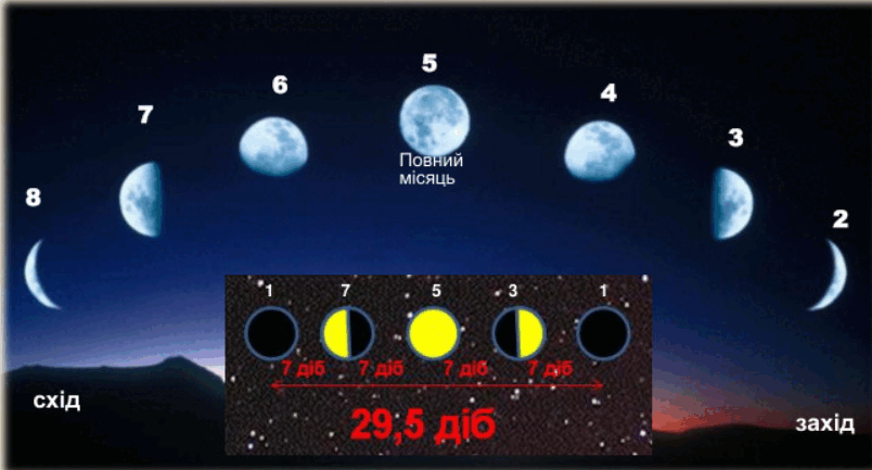 0900fwtm-3871-804x433.png