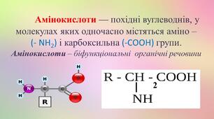 Амінокислоти  