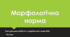 Контрольна робота. Морфологічна норма. 10 клас.
