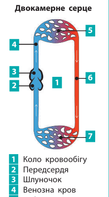 0900g2fm-2fbd-221x400.png