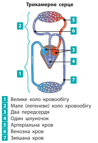0900g2fy-b1af-319x463.png