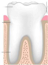 0900g3za-2512-194x263.png