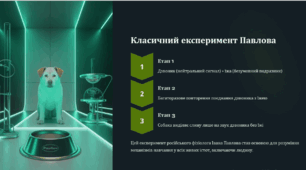 Умовні рефлекси та типи вищої нервової діяльності.  Лабораторне дослідження № 13 Визначення типу вищої нервової діяльності та властивостей темпераменту