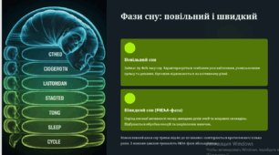 Сон та його види. Біоритми людини