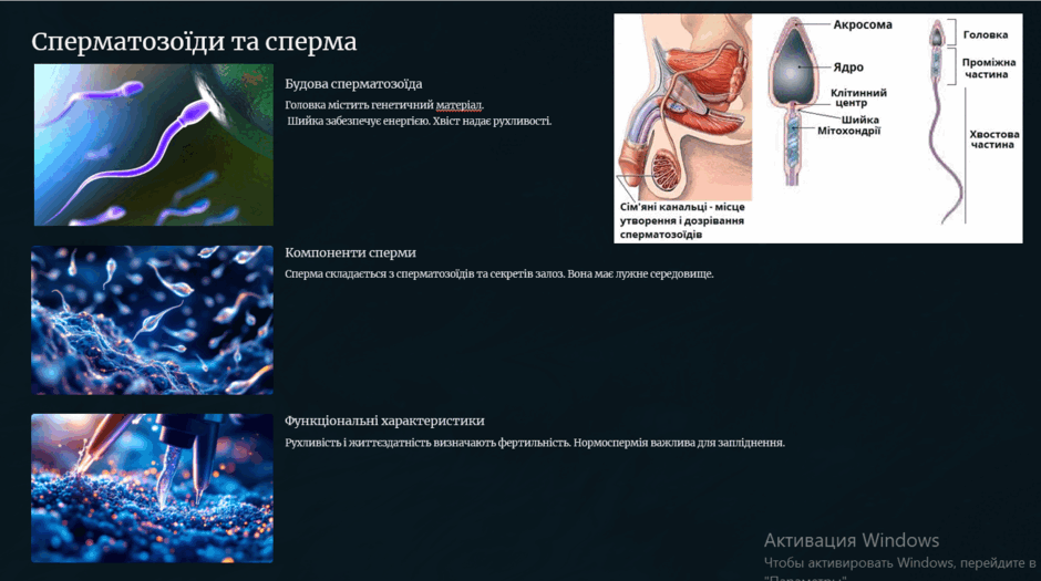 0900g7qd-654c-940x525.png
