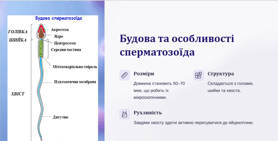 0900g88x-1f4d-940x477.png