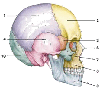 0900gajv-971a-331x312.png