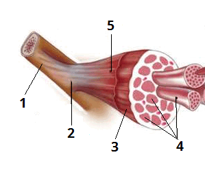 0900gauj-16a2-299x248.png