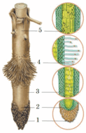 0900gbwb-b548-123x189.png