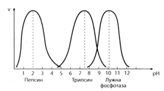 0900ghl1-007d-332x185.png