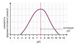 0900ghoy-2f21-257x144.png