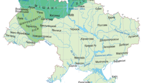 Подорожуємо зонами мішаних і широколистих лісів