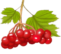 0900gjeg-f36d-124x110.png