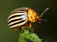 0900glqm-f953-186x139.png