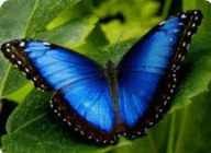 0900gm2p-1f9a-192x140.png