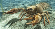 0900gm4d-9300-188x100.png