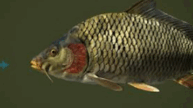 0900gm6u-90fa-193x108.png