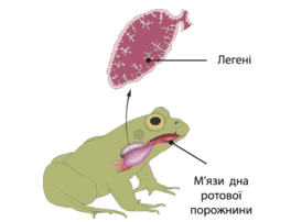 0900gmbe-2940-264x202.png