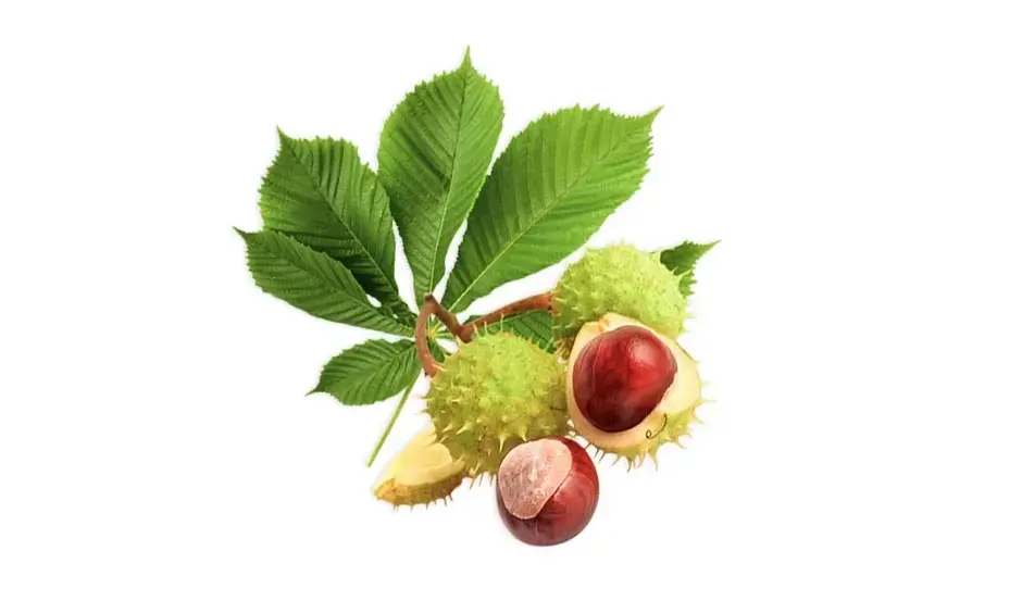 0900gmxc-e0d8-940x564.webp