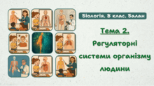 Тема 2. Регуляторні системи організму людини
